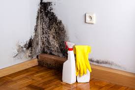 Best Biohazard Mold Removal  in Deenwood, GA